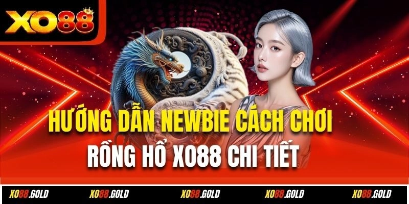 Hướng dẫn newbie cách chơi Rồng Hổ Xo88 chi tiết