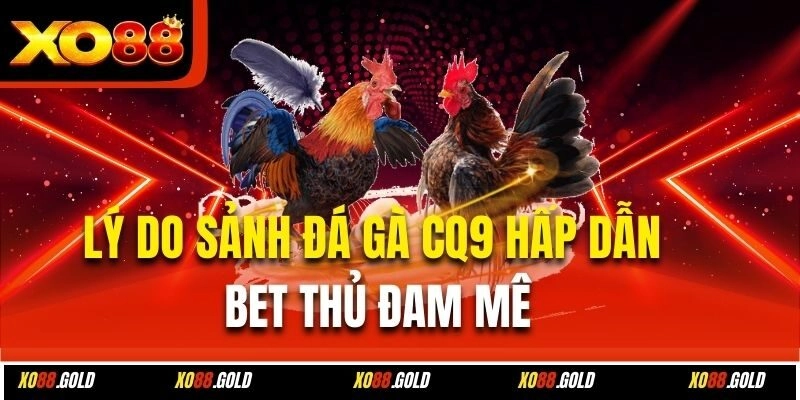 Tỷ lệ cược cạnh tranh