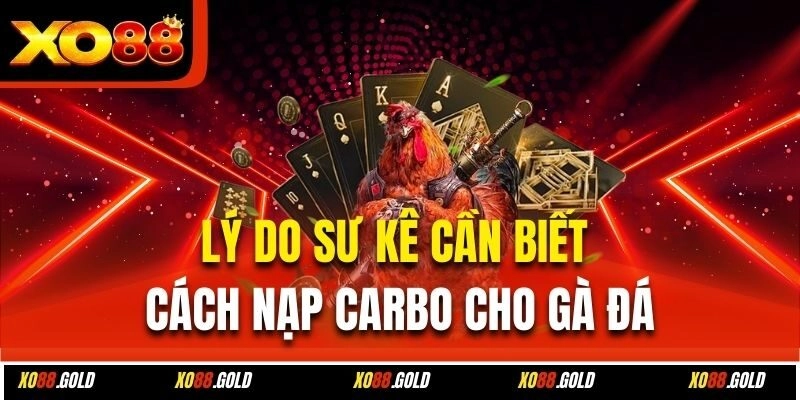 Lý do sư kê cần biết cách nạp carbo cho gà đá