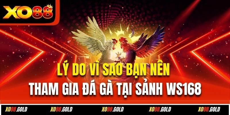 Lý do vì sao bạn nên tham gia đá gà tại sảnh WS168