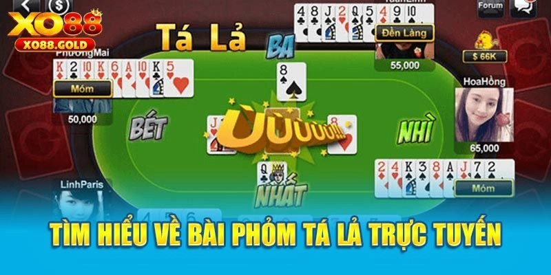 Bài phỏm và thông tin chung